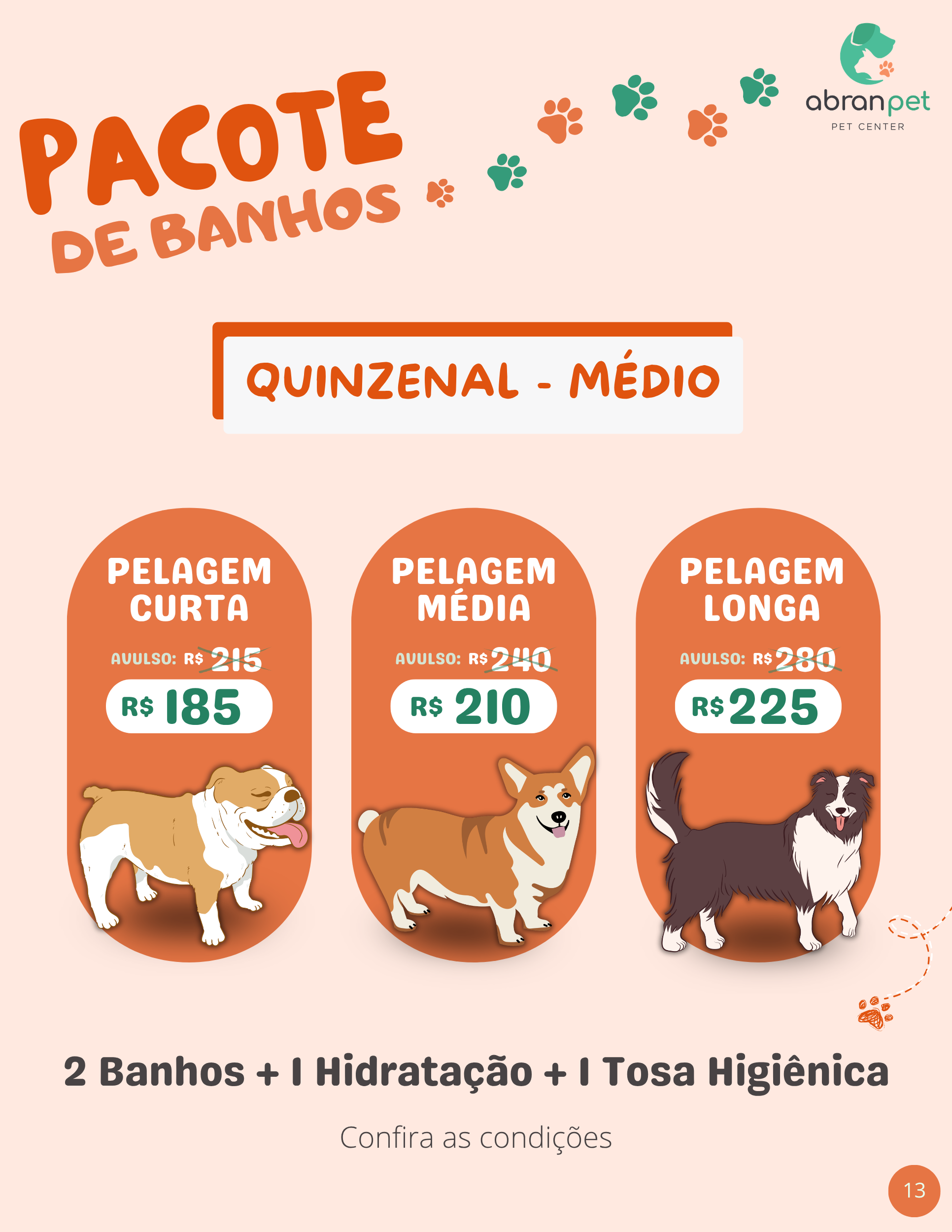 Pacote Quinzenal - Porte Médio