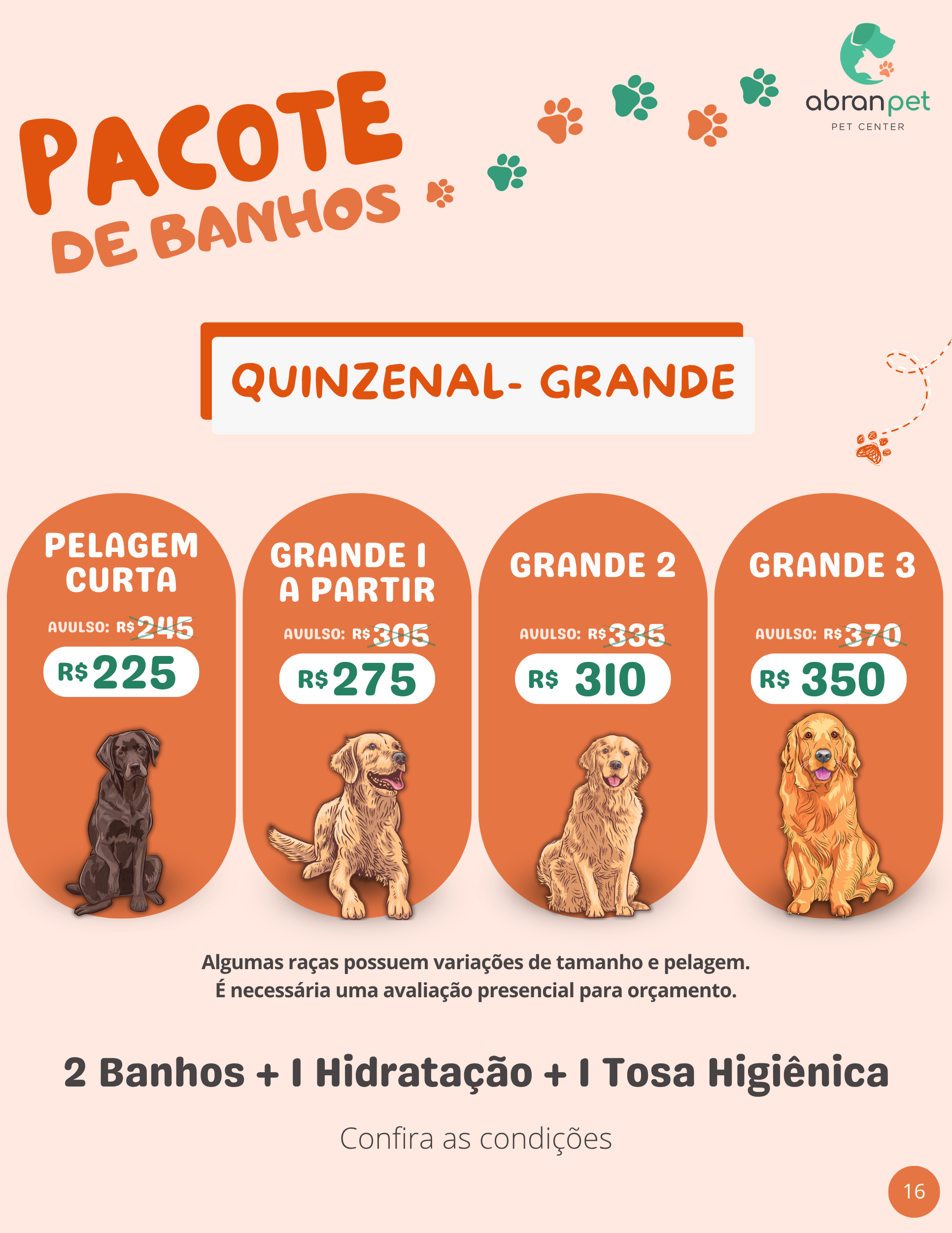 Pacote Quinzenal - Porte Grande