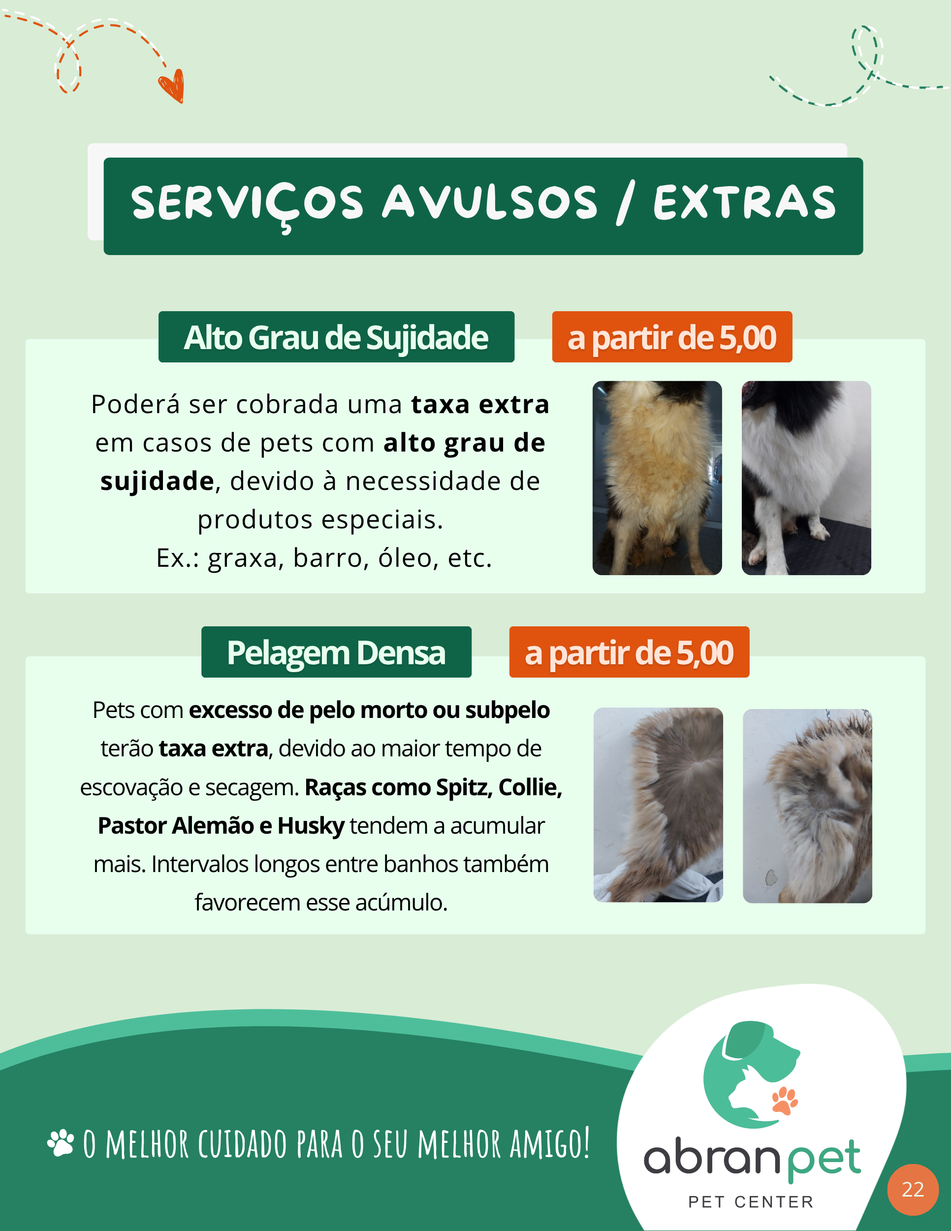 Serviços Avulsos - Sujidade e Pelagem Densa