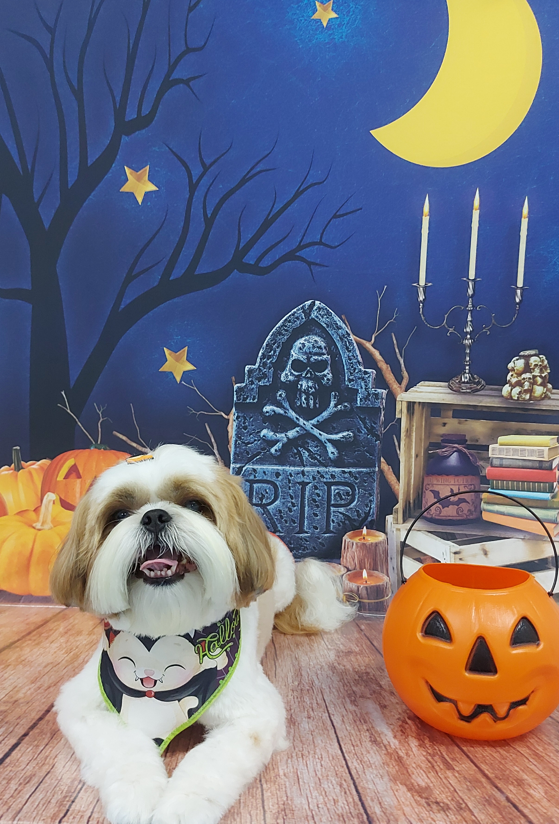 Halloween 3