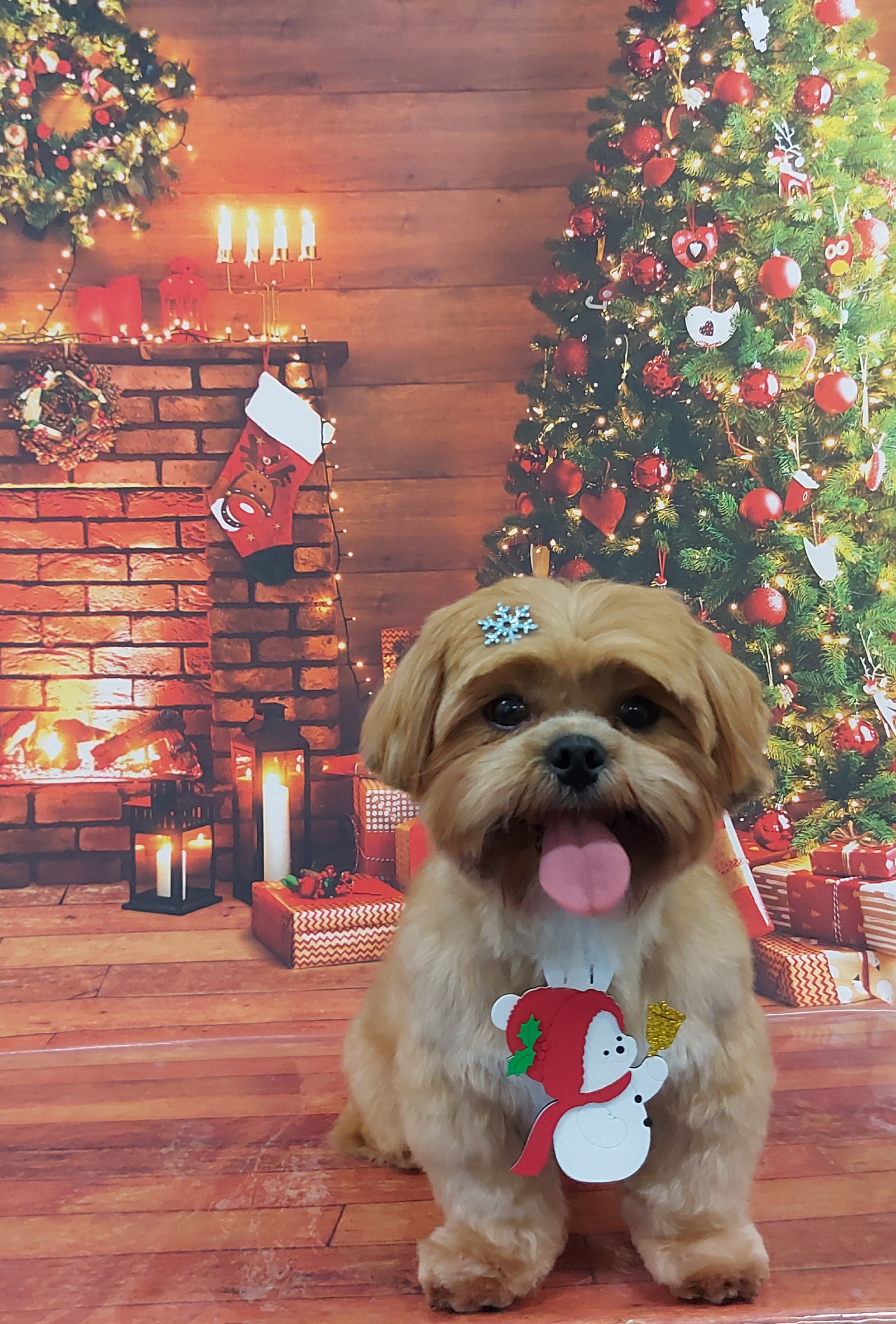 Natal 6