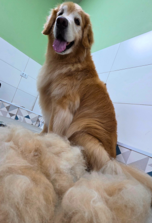 Remoção de Subpelo 1