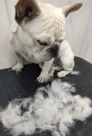 Remoção de Subpelo 3